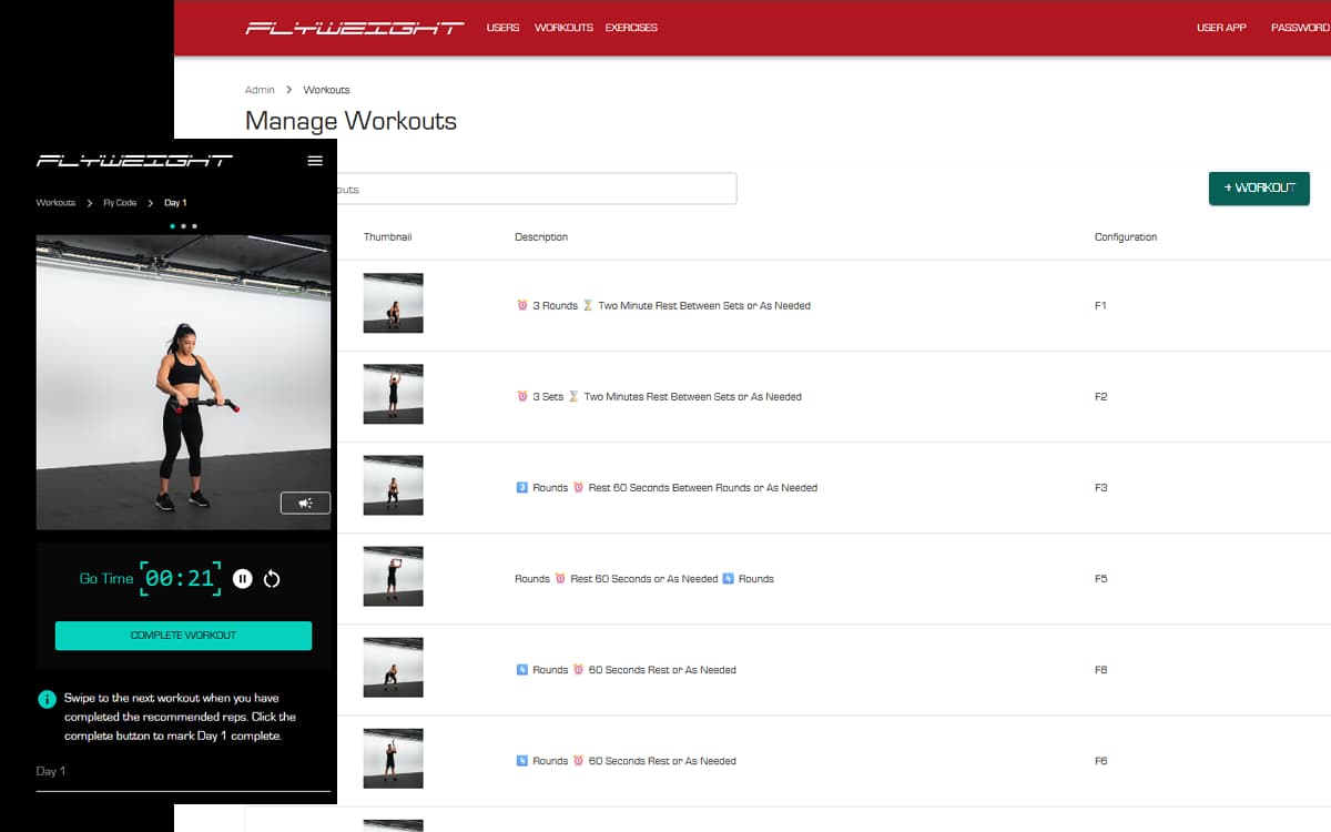 Flyweight Digital screenshot